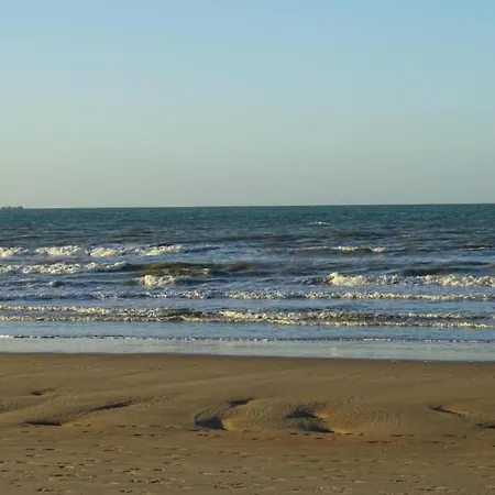 In By The Marina * 니우포르트