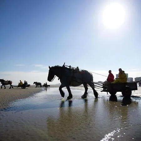 Apartmán In By The Marina *