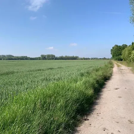 In By The Marina 아파트 니우포르트