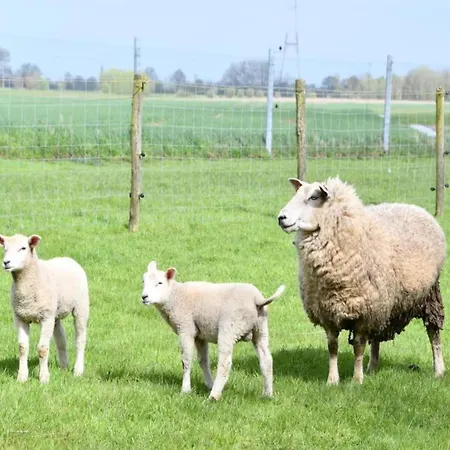 In By The Marina Apartamento Nieuwpoort
