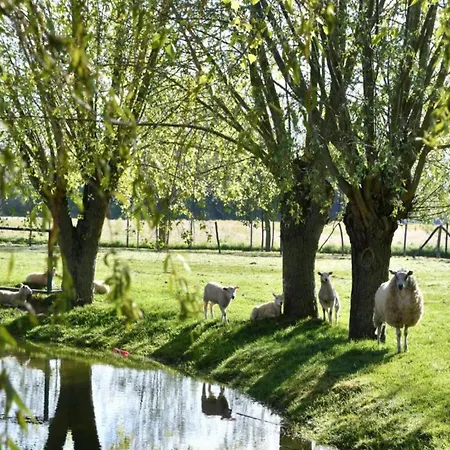 아파트 In By The Marina